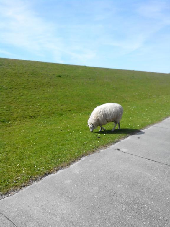 Auf Dem Alten Deich Sande Zewnętrze zdjęcie